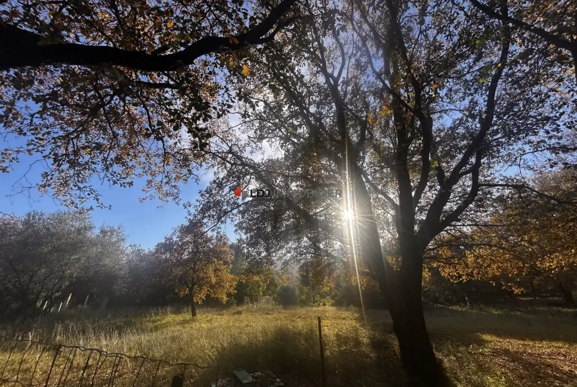 A vendre terrain agricole de 7 580 m² à Argelès-sur-Mer, parfait pour projets ruraux et équitation 