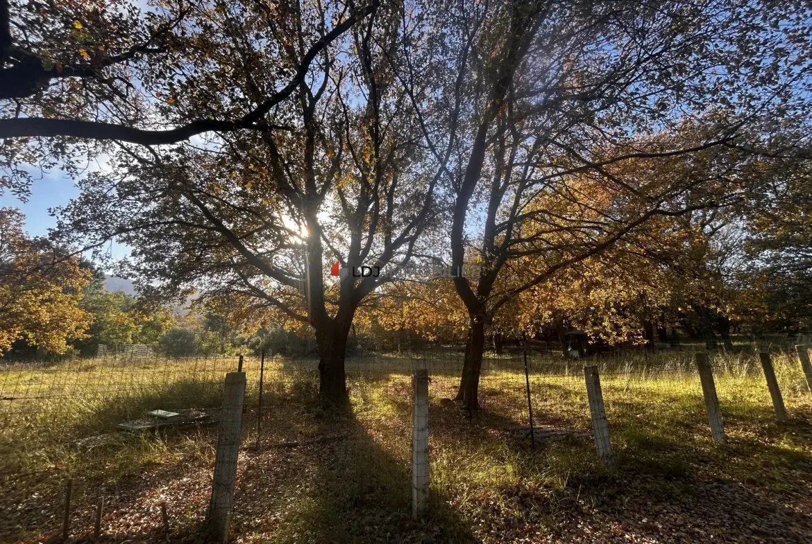 A vendre terrain agricole de 7 580 m² à Argelès-sur-Mer, parfait pour projets ruraux et équitation 