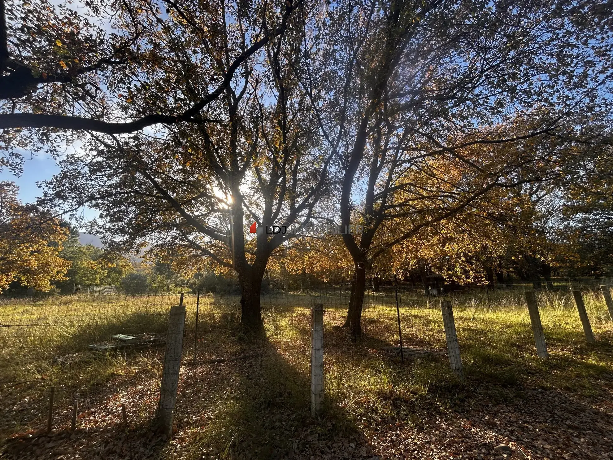 A vendre terrain agricole de 7 580 m² à Argelès-sur-Mer, parfait pour projets ruraux et équitation 