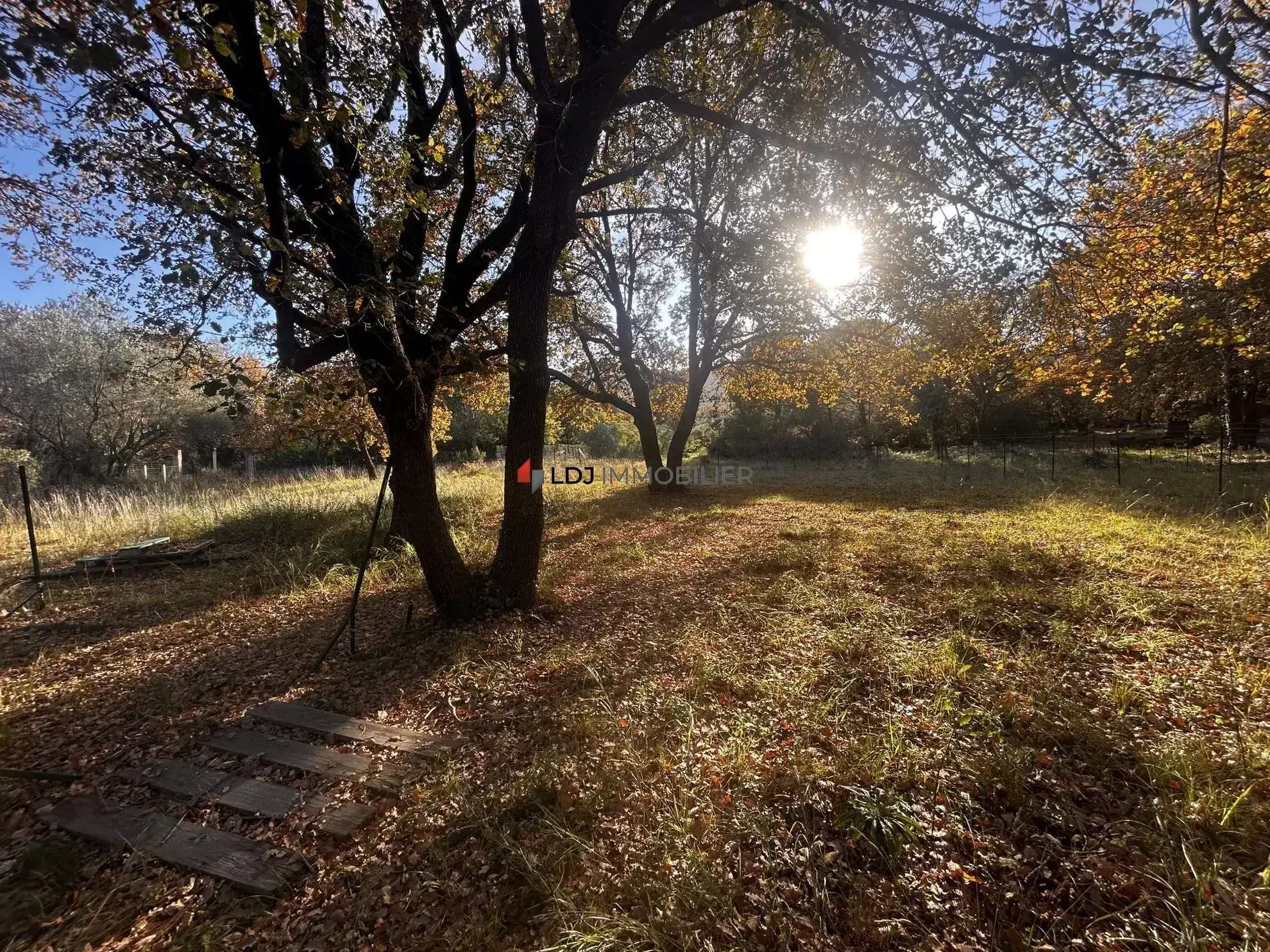 A vendre terrain agricole de 7 580 m² à Argelès-sur-Mer, parfait pour projets ruraux et équitation 