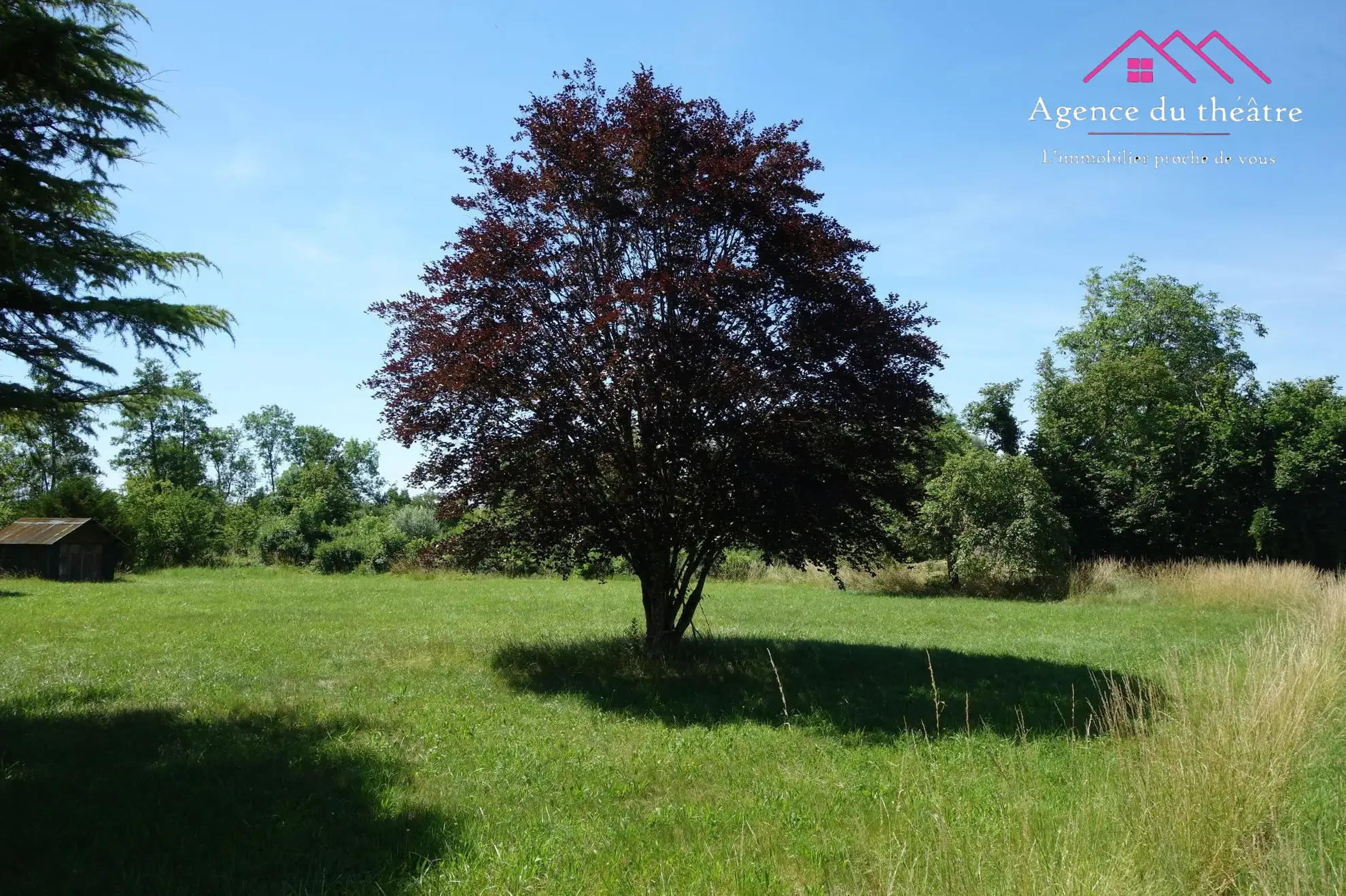 Terrain constructible plat de 2606 m² à Montbarrey - Viabilisé 