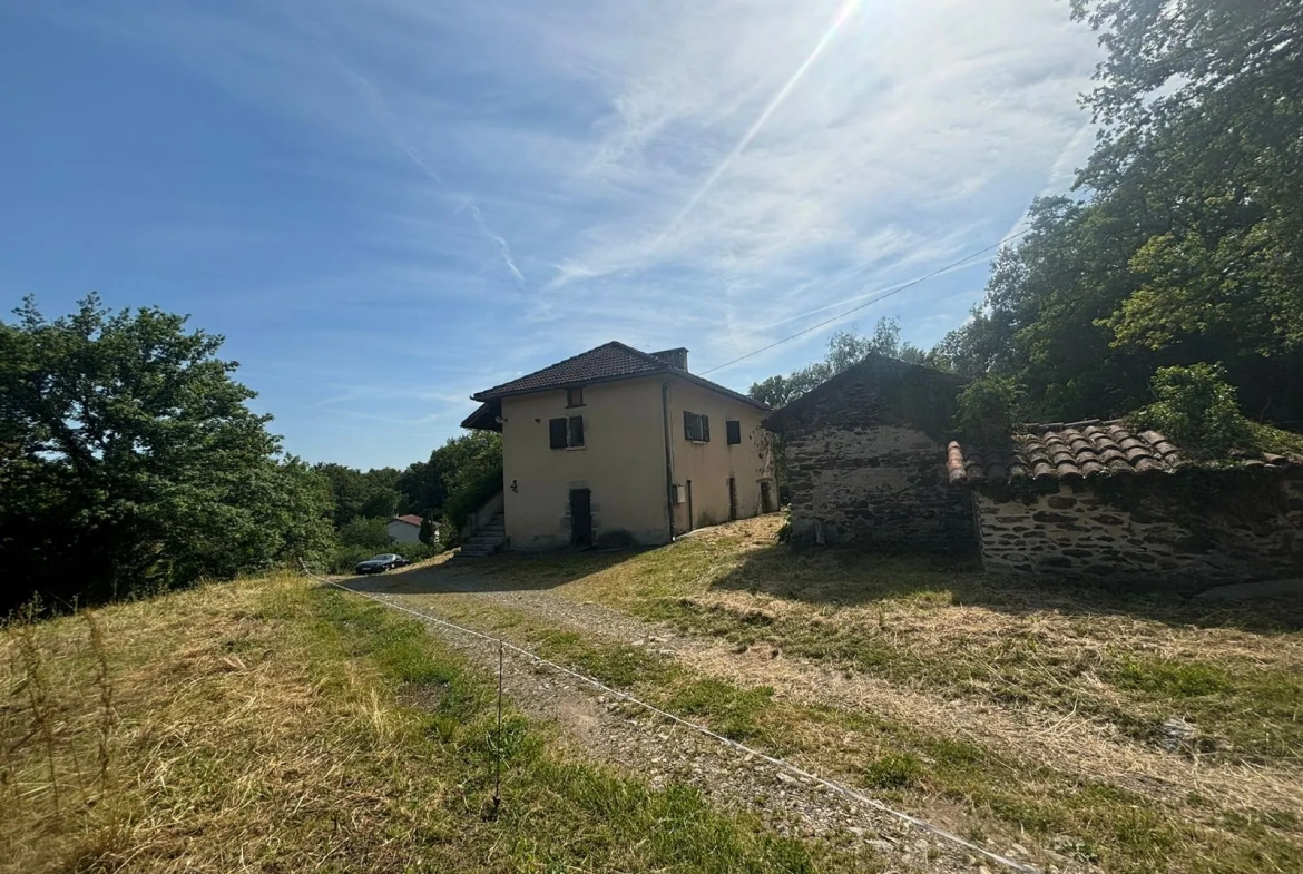 Maison Auvergnate à rénover avec jardin, proche Maurs-la-Jolie 