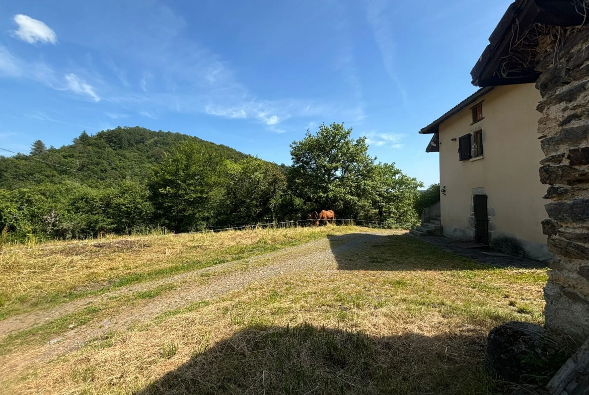 Maison Auvergnate à rénover avec jardin, proche Maurs-la-Jolie 
