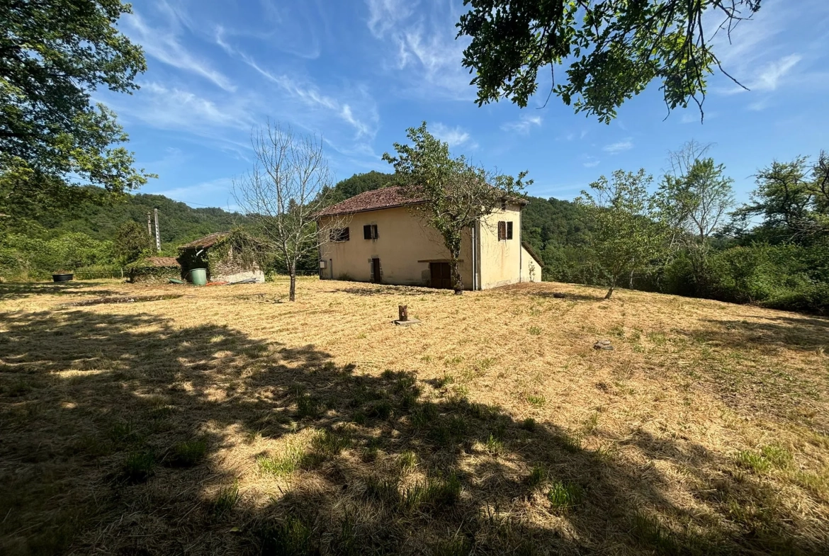 Maison Auvergnate à rénover avec jardin, proche Maurs-la-Jolie 