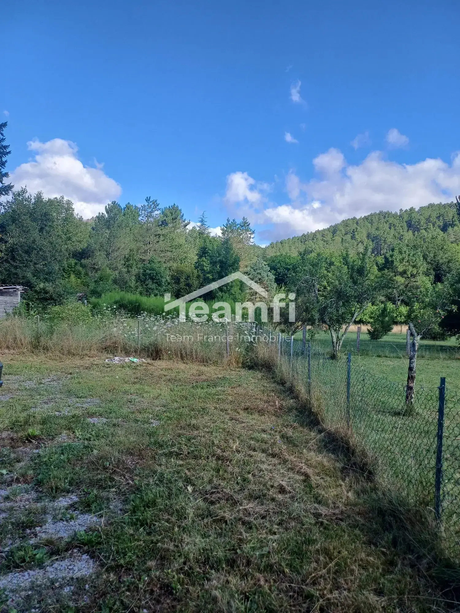 Maison à vendre à Prades avec grand jardin et potentiel d'investissement 