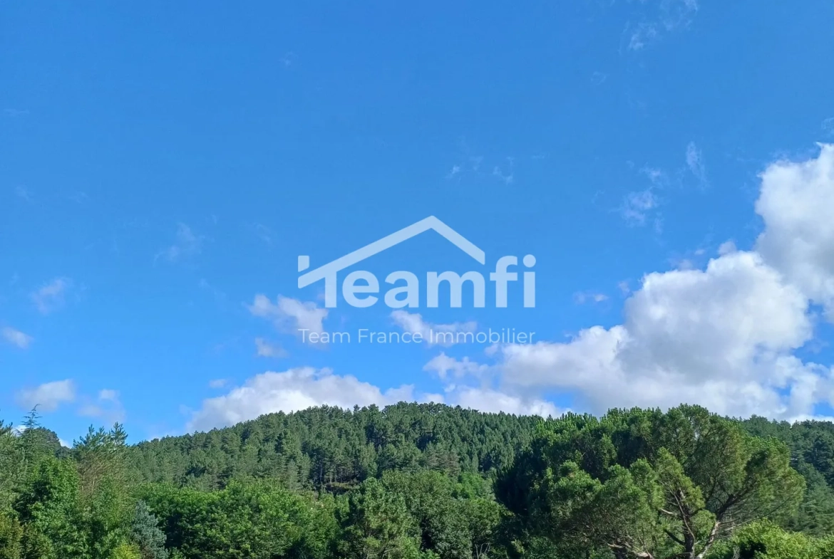 Maison à vendre à Prades avec grand jardin et potentiel d'investissement 