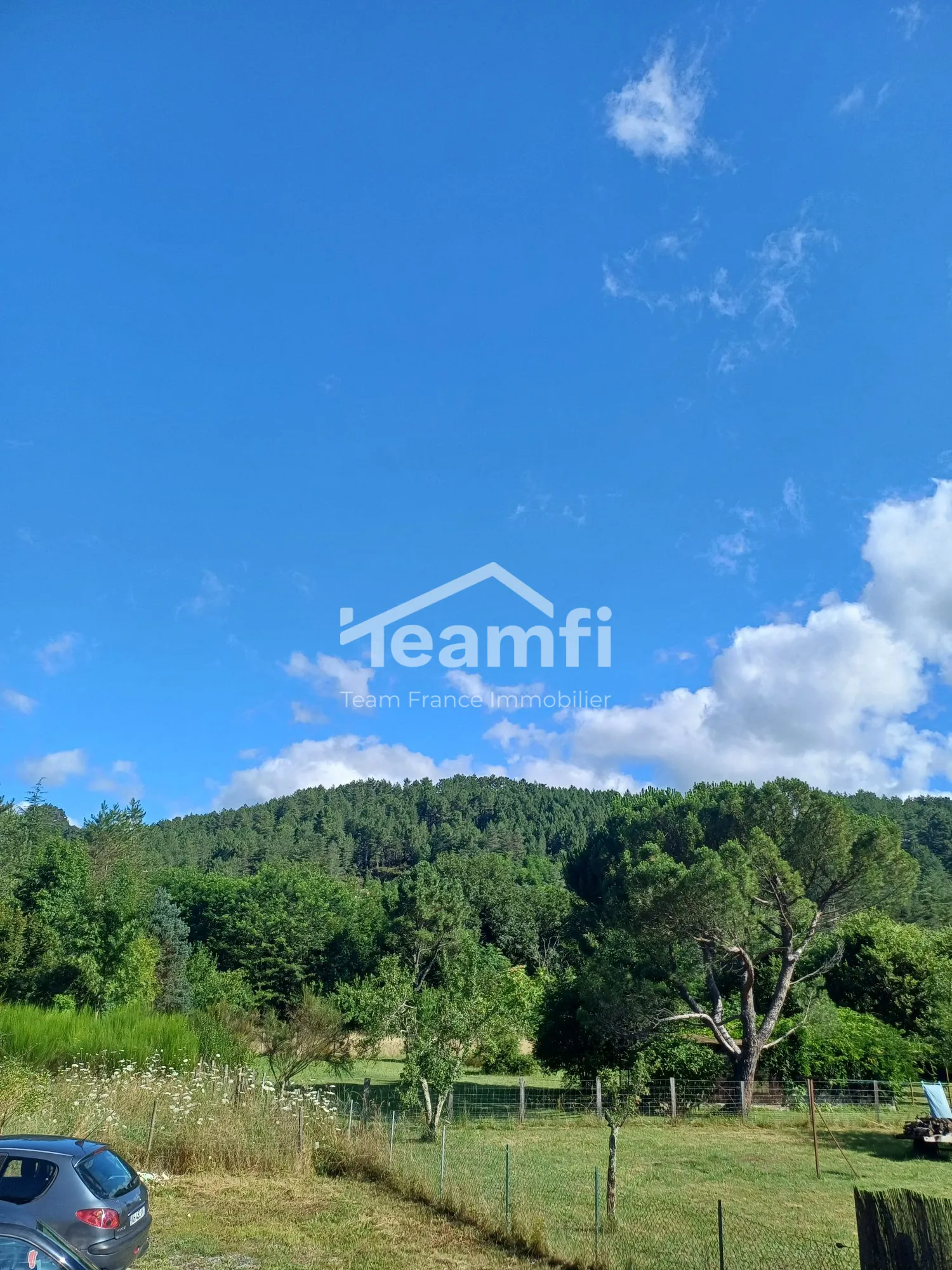 Maison à vendre à Prades avec grand jardin et potentiel d'investissement 
