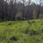 Terrain constructible à Graulhet de 1894 m² – calme, naturel, viabilisé à proximité