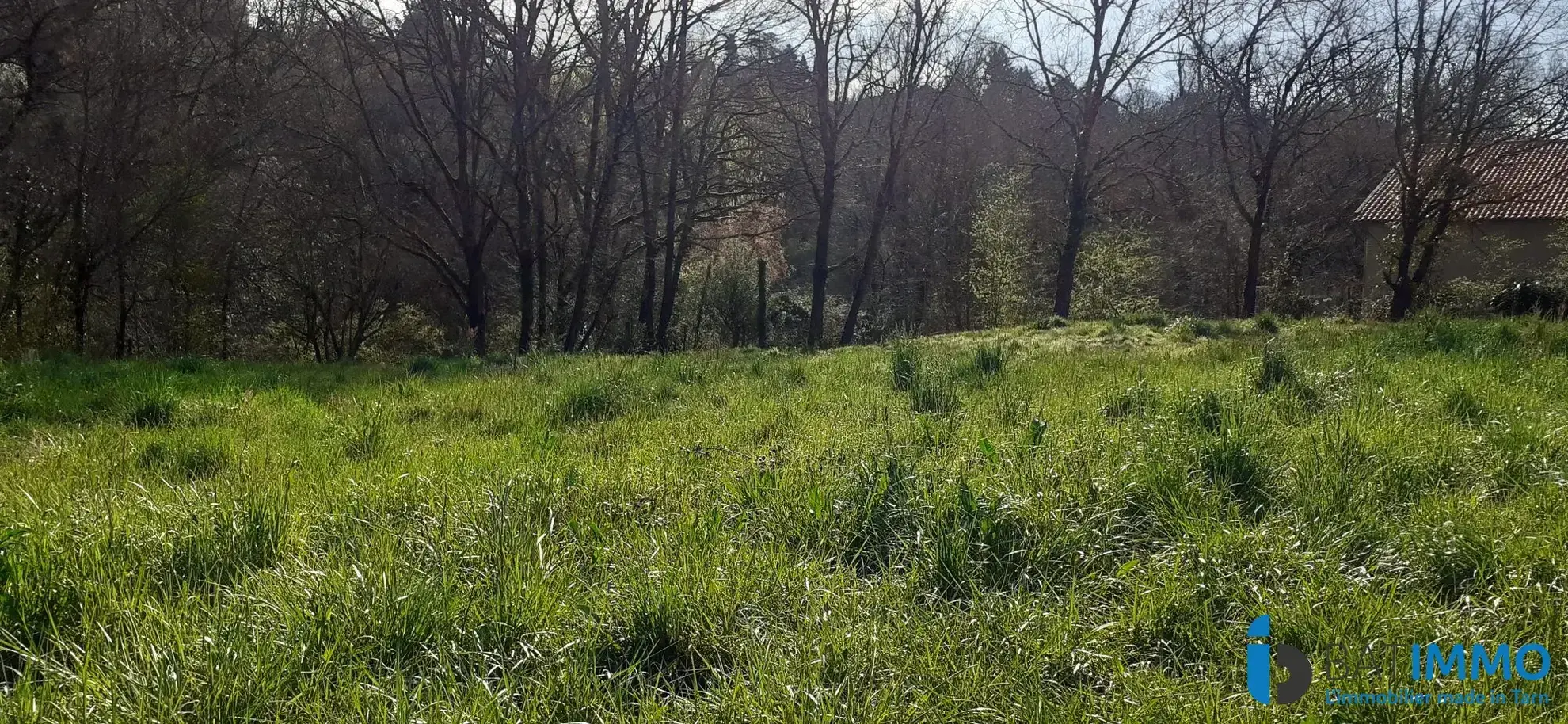 Terrain constructible à Graulhet de 1894 m² – calme, naturel, viabilisé à proximité 