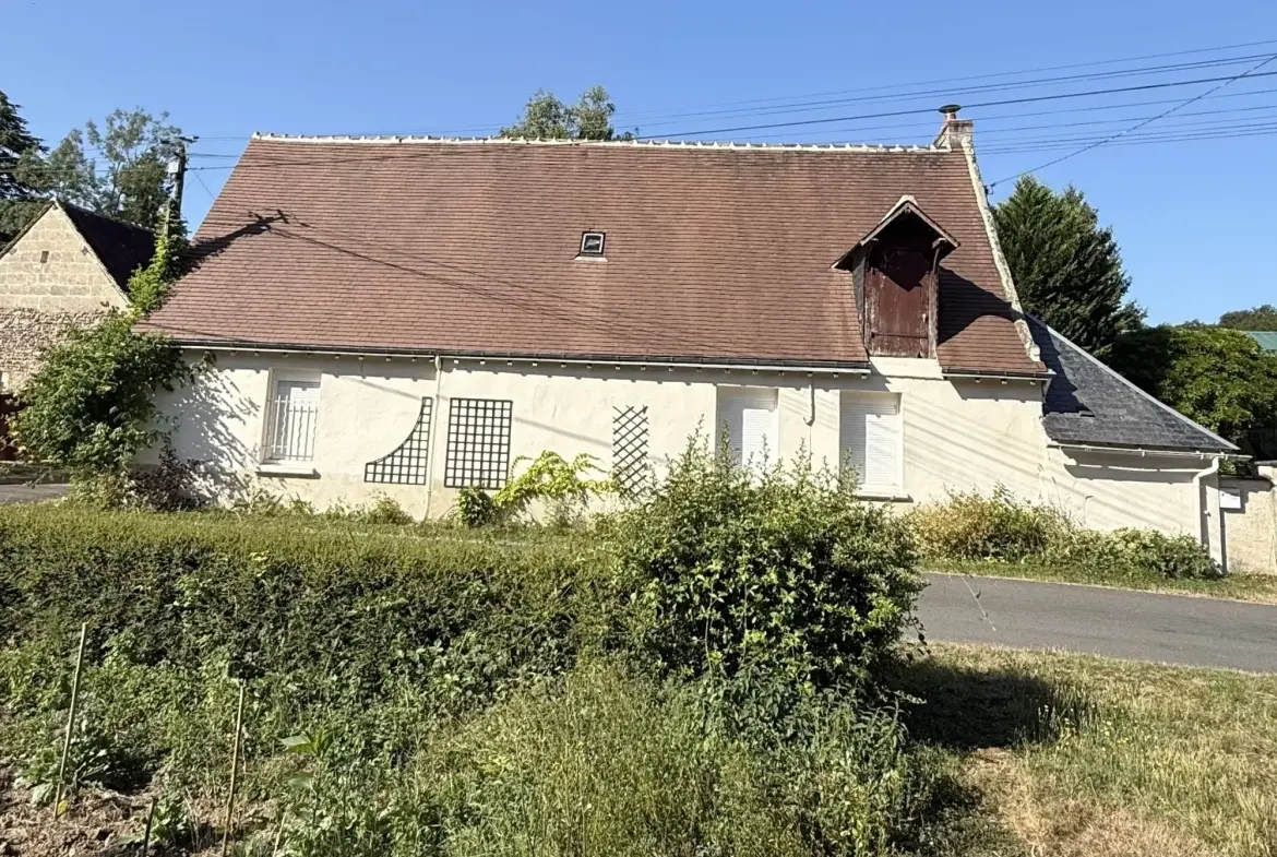 Longère en pierre avec jardin et potager à Villedieu - Charmante propriété rurale 
