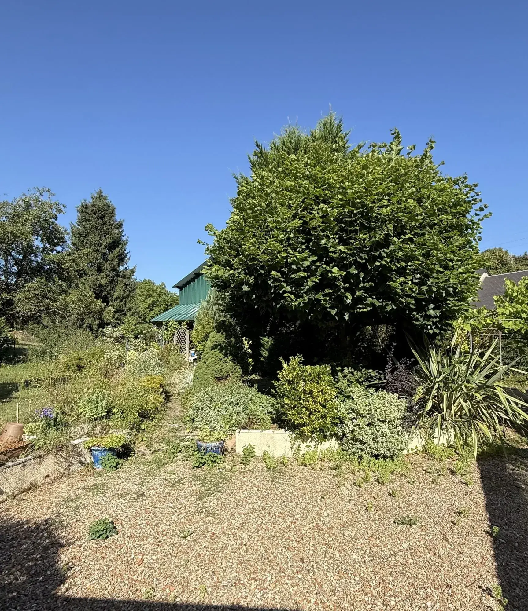 Longère en pierre avec jardin et potager à Villedieu - Charmante propriété rurale 