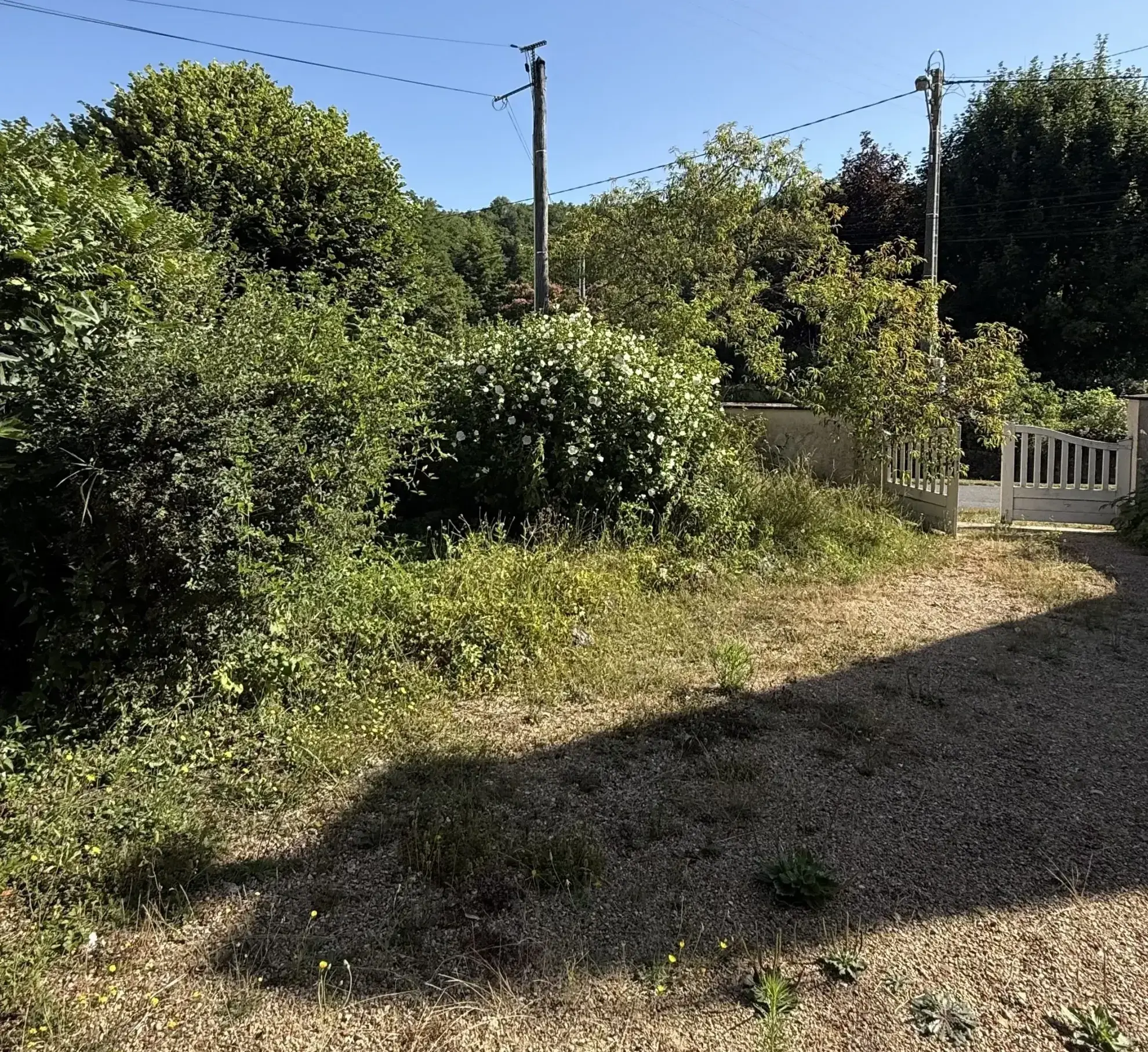 Longère en pierre avec jardin et potager à Villedieu - Charmante propriété rurale 