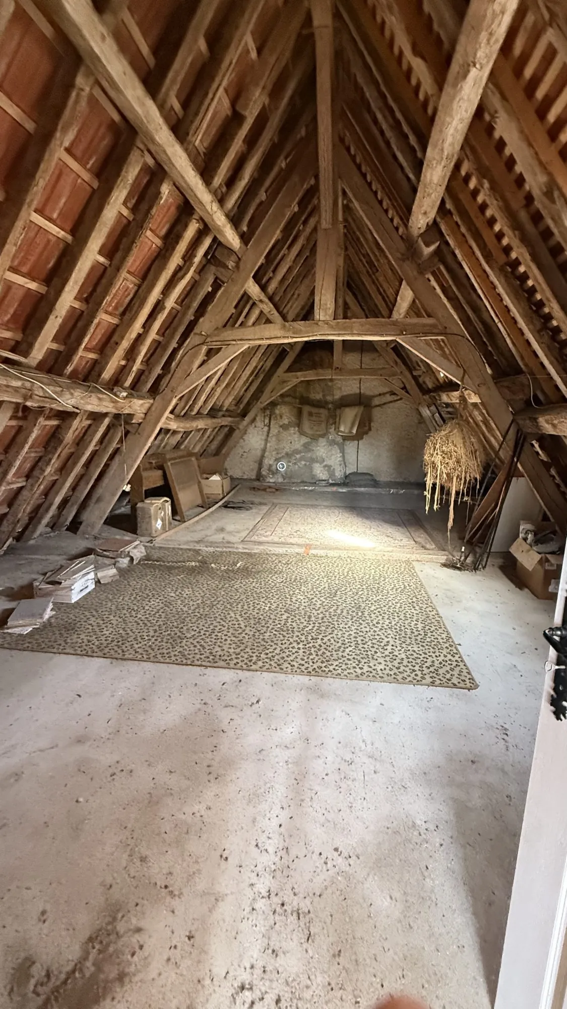 Longère en pierre avec jardin et potager à Villedieu - Charmante propriété rurale 