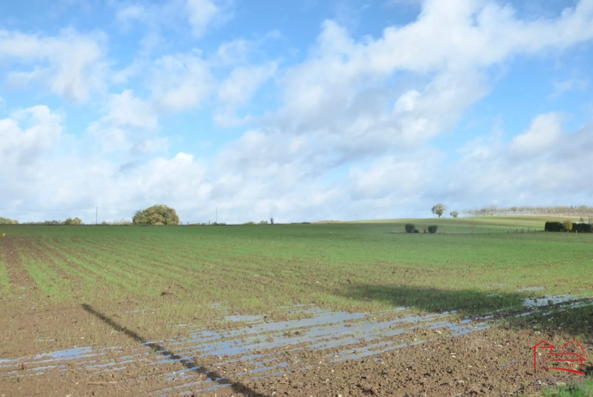 Terrain constructible de 3190 m² à Dondas en campagne 