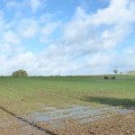Terrain constructible de 3190 m² à Dondas en campagne