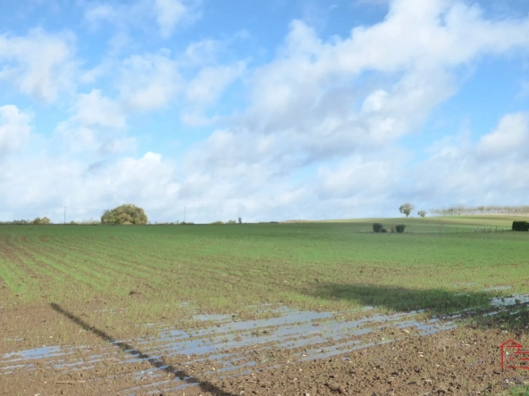 Terrain constructible de 3190 m² à Dondas en campagne