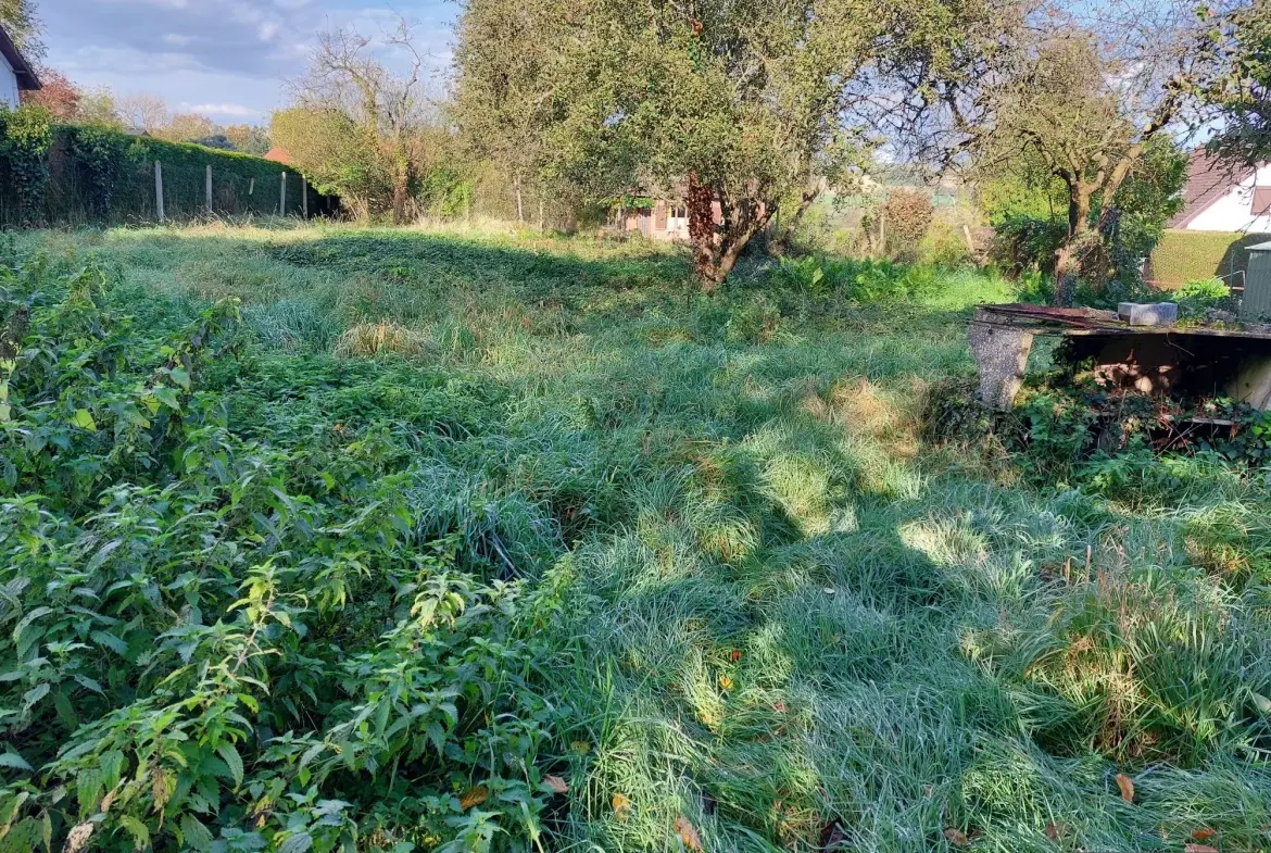 Terrain à bâtir de 800 m² à Caours, proche d'Abbeville 