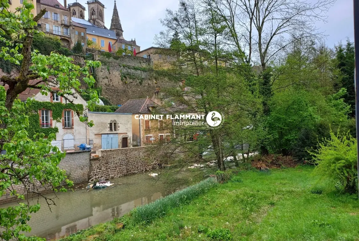 Maison ancienne avec vue imprenable et jardin à Semur-en-Auxois 