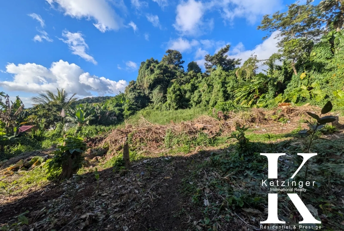 Terrain constructible à vendre à Saint-Claude avec vue mer en Guadeloupe 