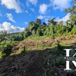Terrain constructible à vendre à Saint-Claude avec vue mer en Guadeloupe