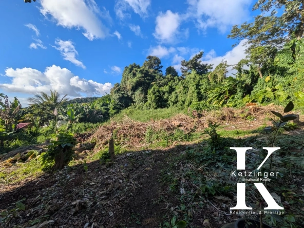 Terrain constructible à vendre à Saint-Claude avec vue mer en Guadeloupe