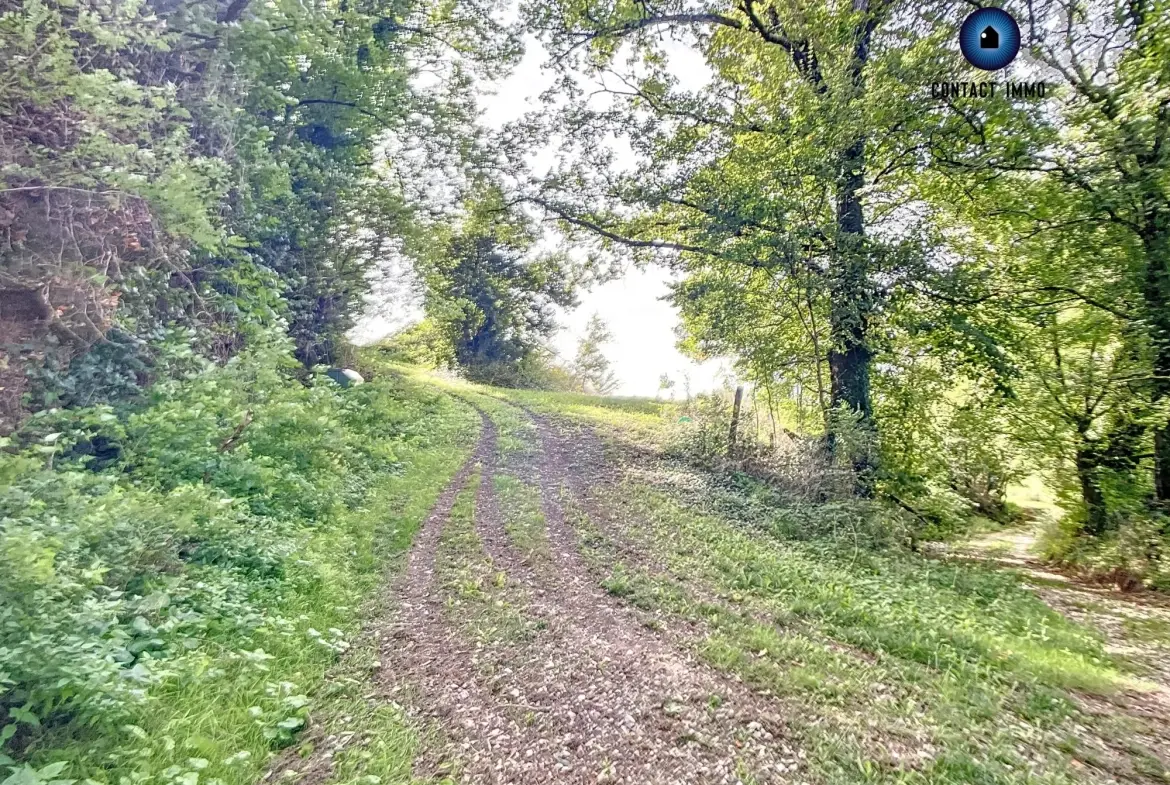 Terrain constructible de 1800 m² à Lintillac, proximité Brive-la-Gaillarde 