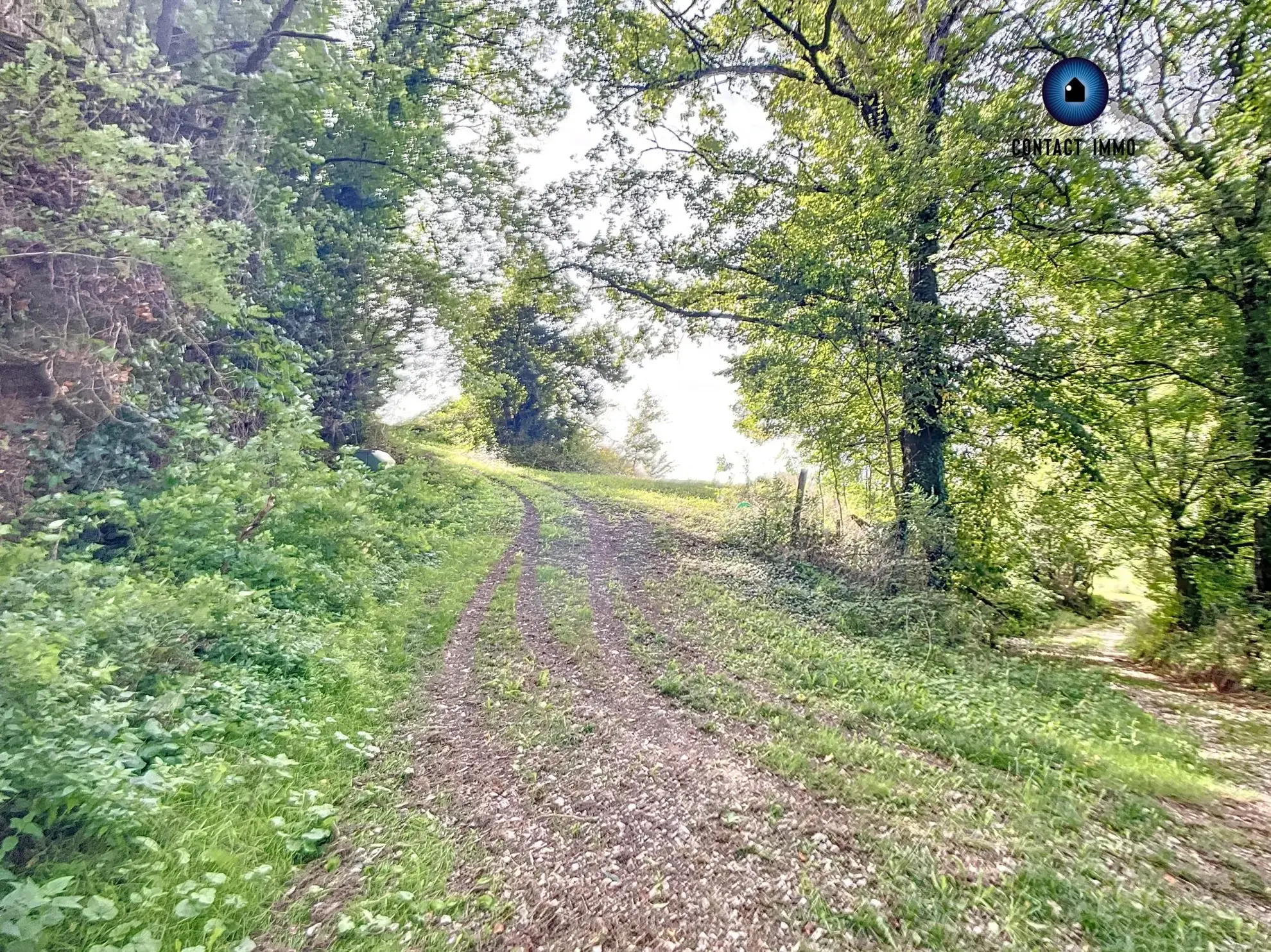 Terrain constructible de 1800 m² à Lintillac, proximité Brive-la-Gaillarde 