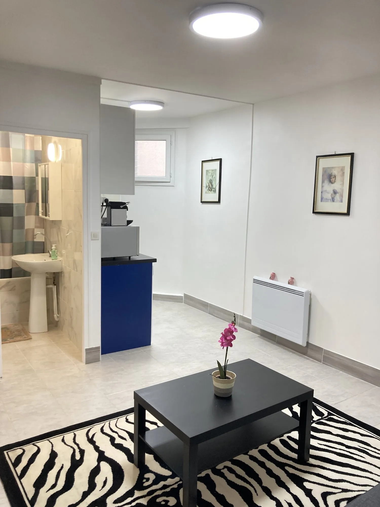 Studio de 21,73 m² à vendre au 1er étage dans le 19ème arrondissement de Paris 