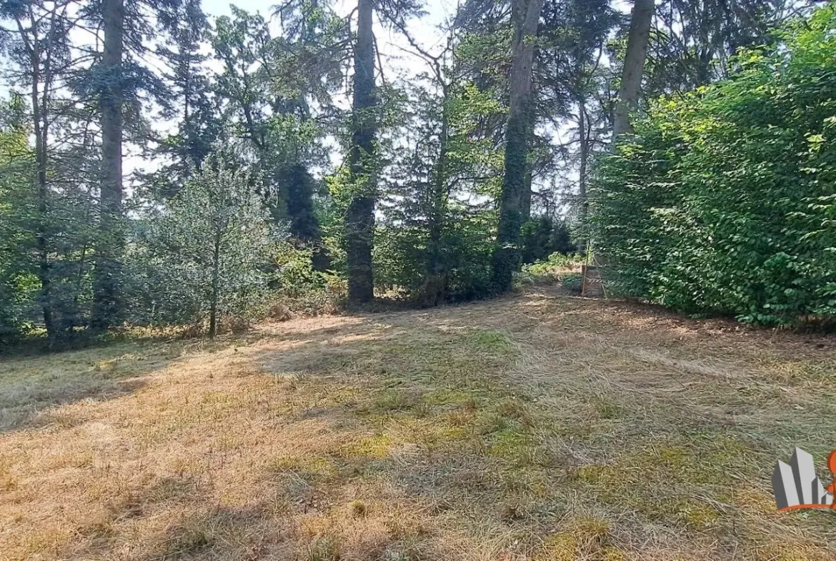 Magnifique terrain constructible à Saint-Galmier proche du centre-ville 