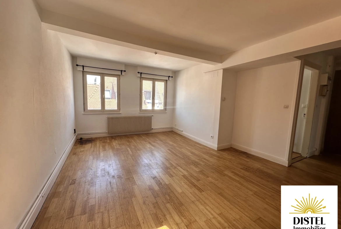 A vendre appartement duplex 3 pièces avec cave à Schiltigheim 