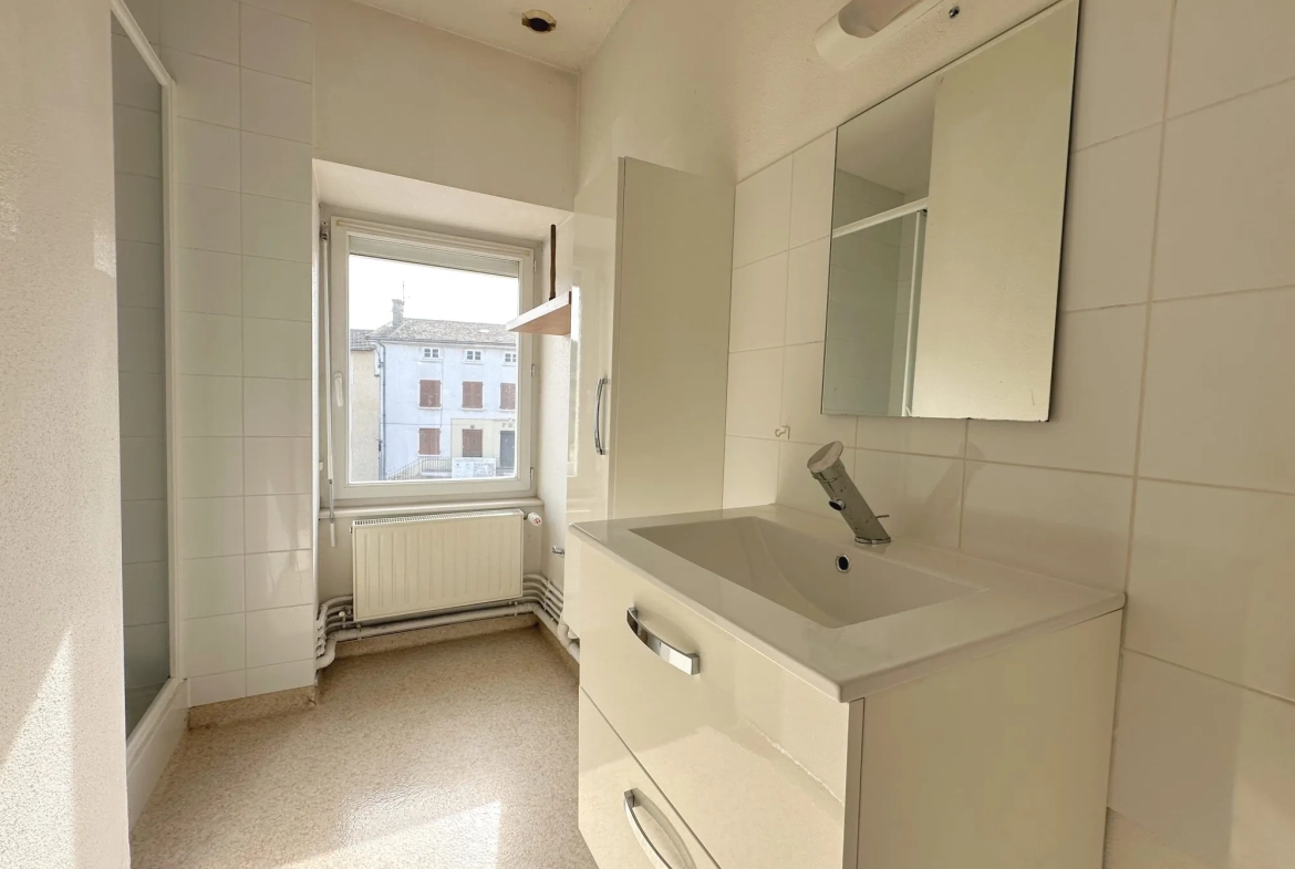 Appartement T3 lumineux à Belmont-de-la-Loire, parfait pour investissement ou premier achat 