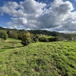 Terrain constructible de 1367m² à Poule-les-Écharmeaux - Vue dégagée et proximité des commodités