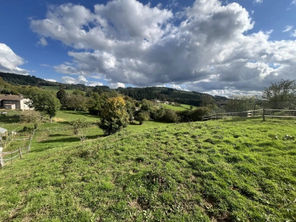 Terrain constructible de 1367m² à Poule-les-Écharmeaux - Vue dégagée et proximité des commodités