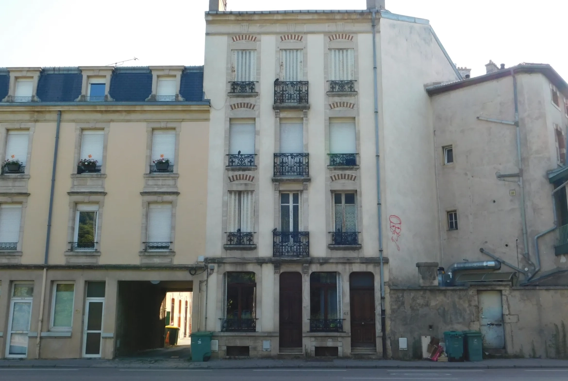Spacieux appartement T3 Bis avec balcon face au Parc de la Pépinière à Nancy 