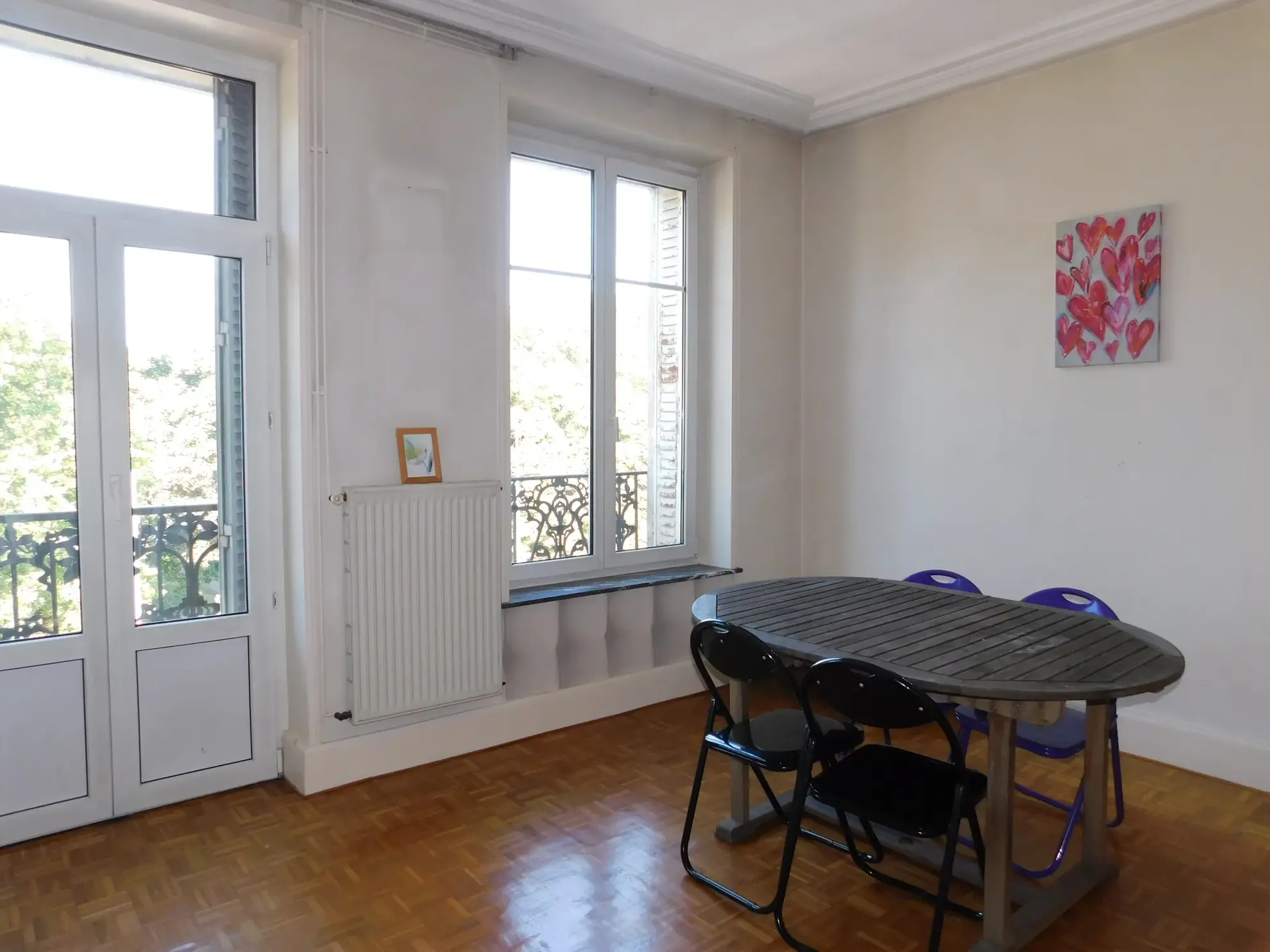 Spacieux appartement T3 Bis avec balcon face au Parc de la Pépinière à Nancy 