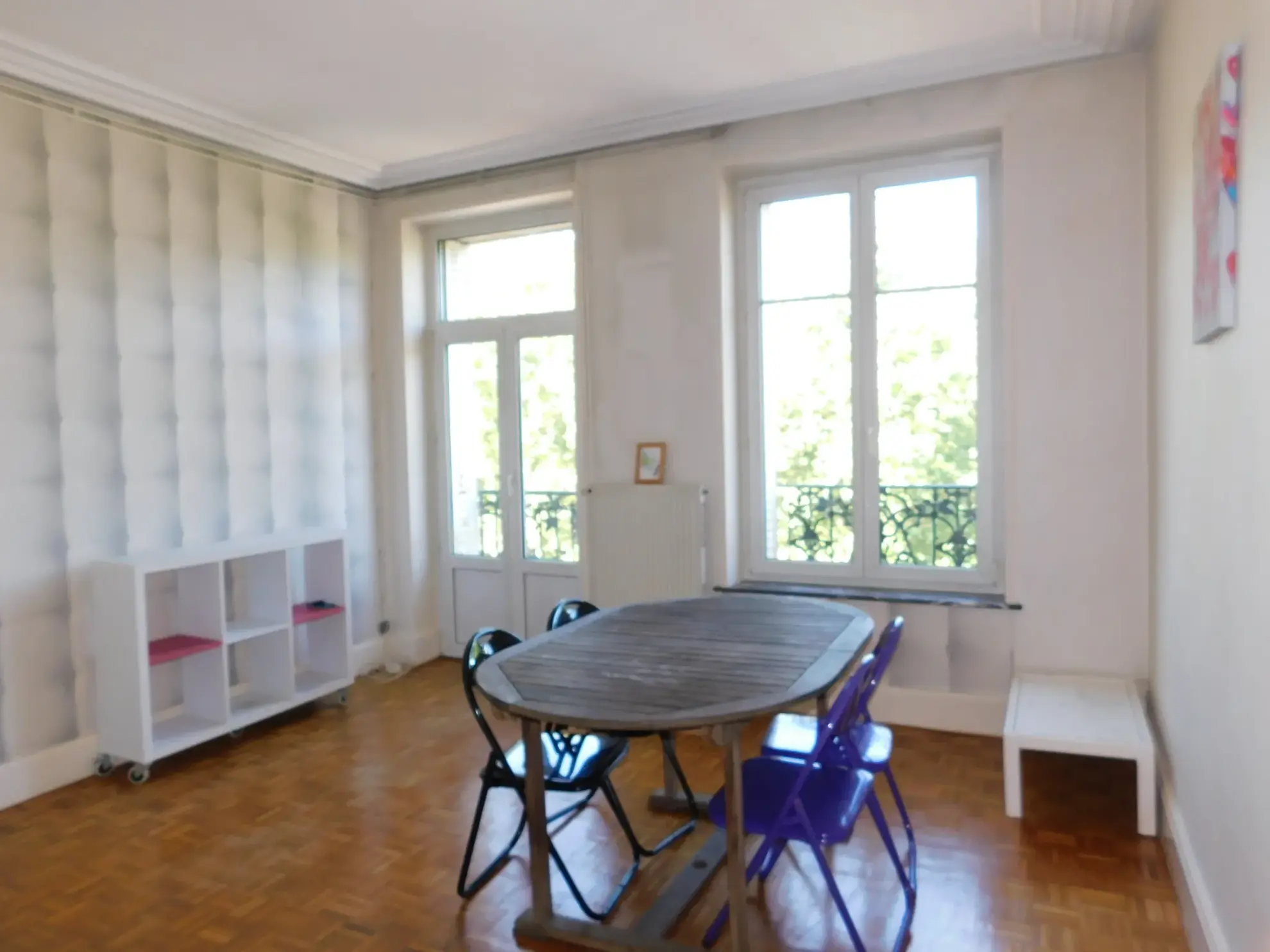 Spacieux appartement T3 Bis avec balcon face au Parc de la Pépinière à Nancy 