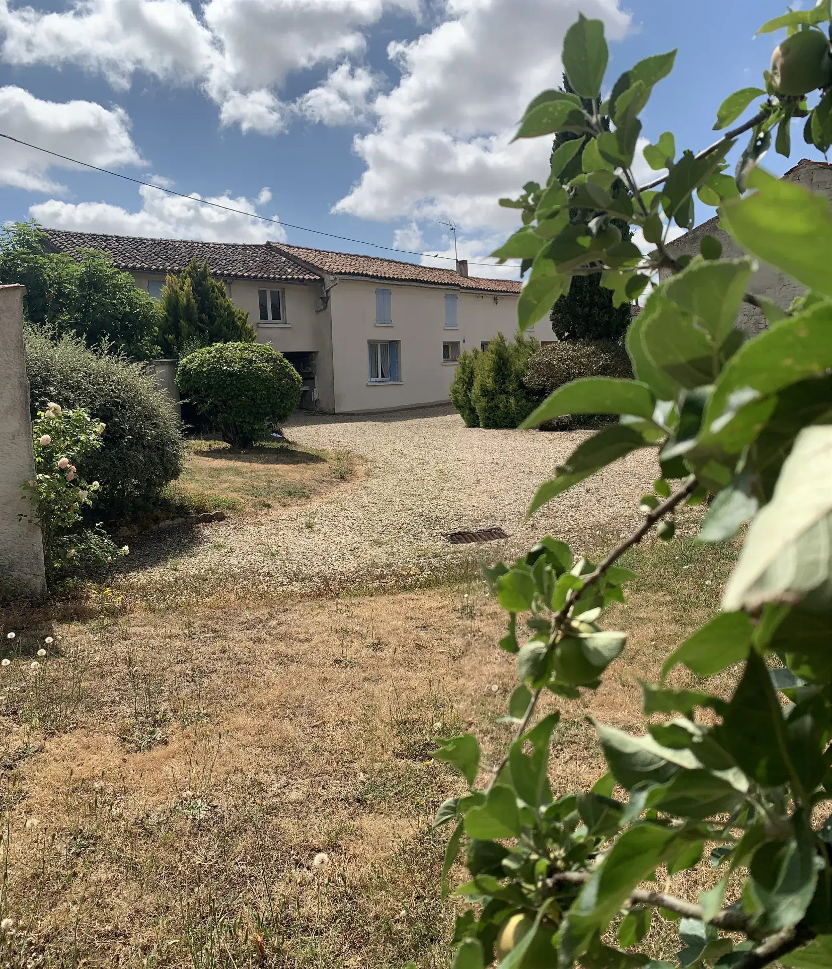 Maison de plain-pied à vendre à Aulnay, Charente-Maritime - 123 m² avec dépendances sur 4050 m² 
