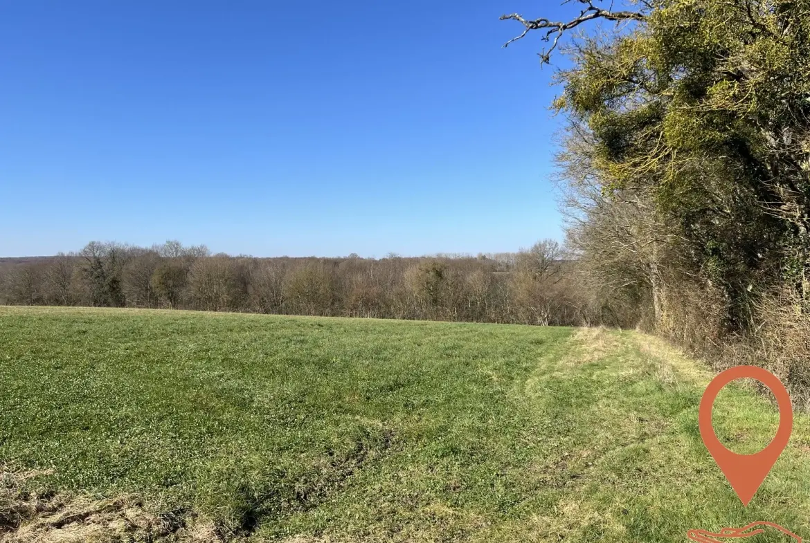 Terrain agricole boisé à vendre à Cernoy-en-Berry – 51 643 m² 