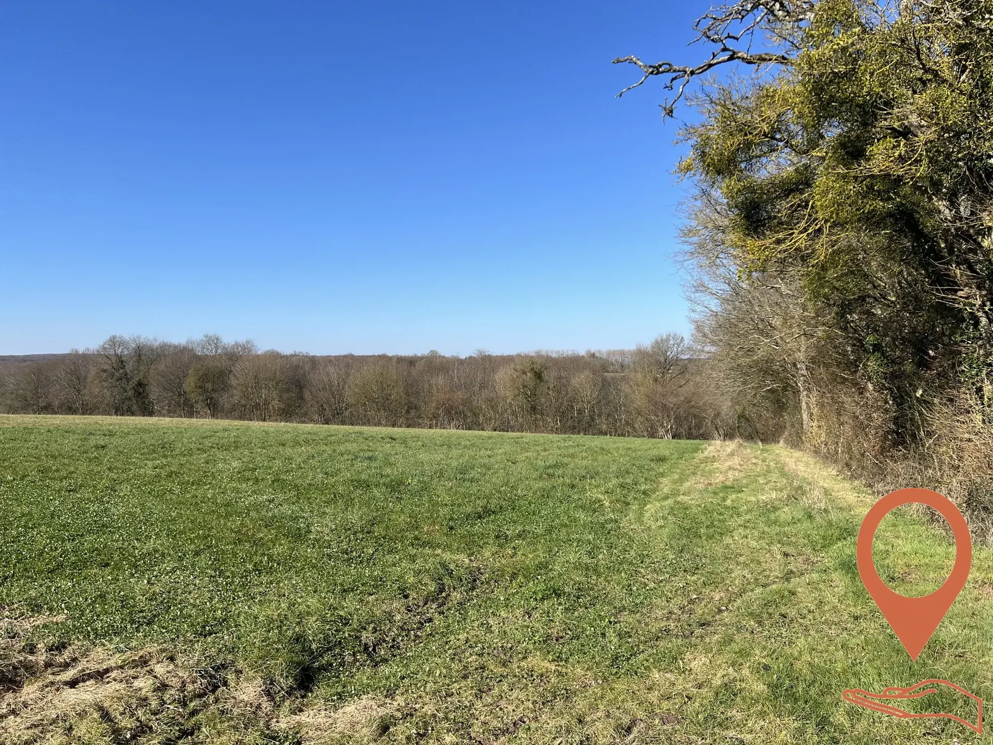 Terrain agricole boisé à vendre à Cernoy-en-Berry – 51 643 m² 
