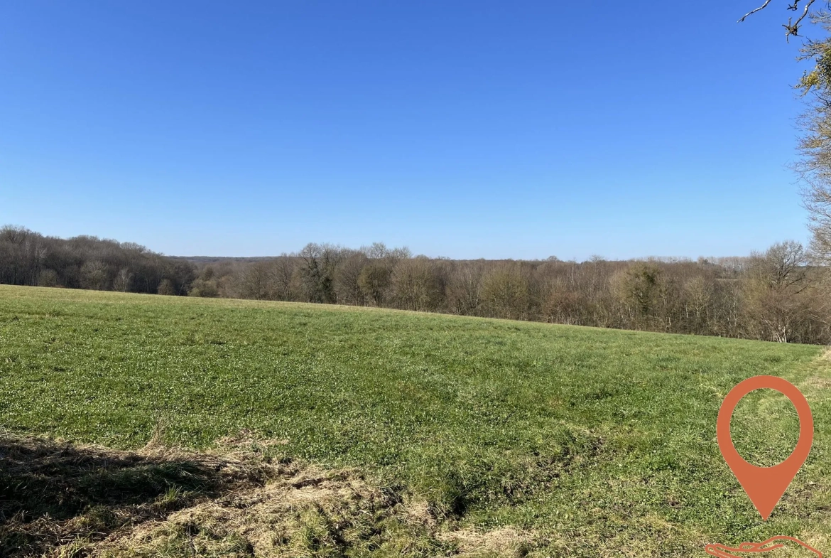 Terrain agricole boisé à vendre à Cernoy-en-Berry – 51 643 m² 