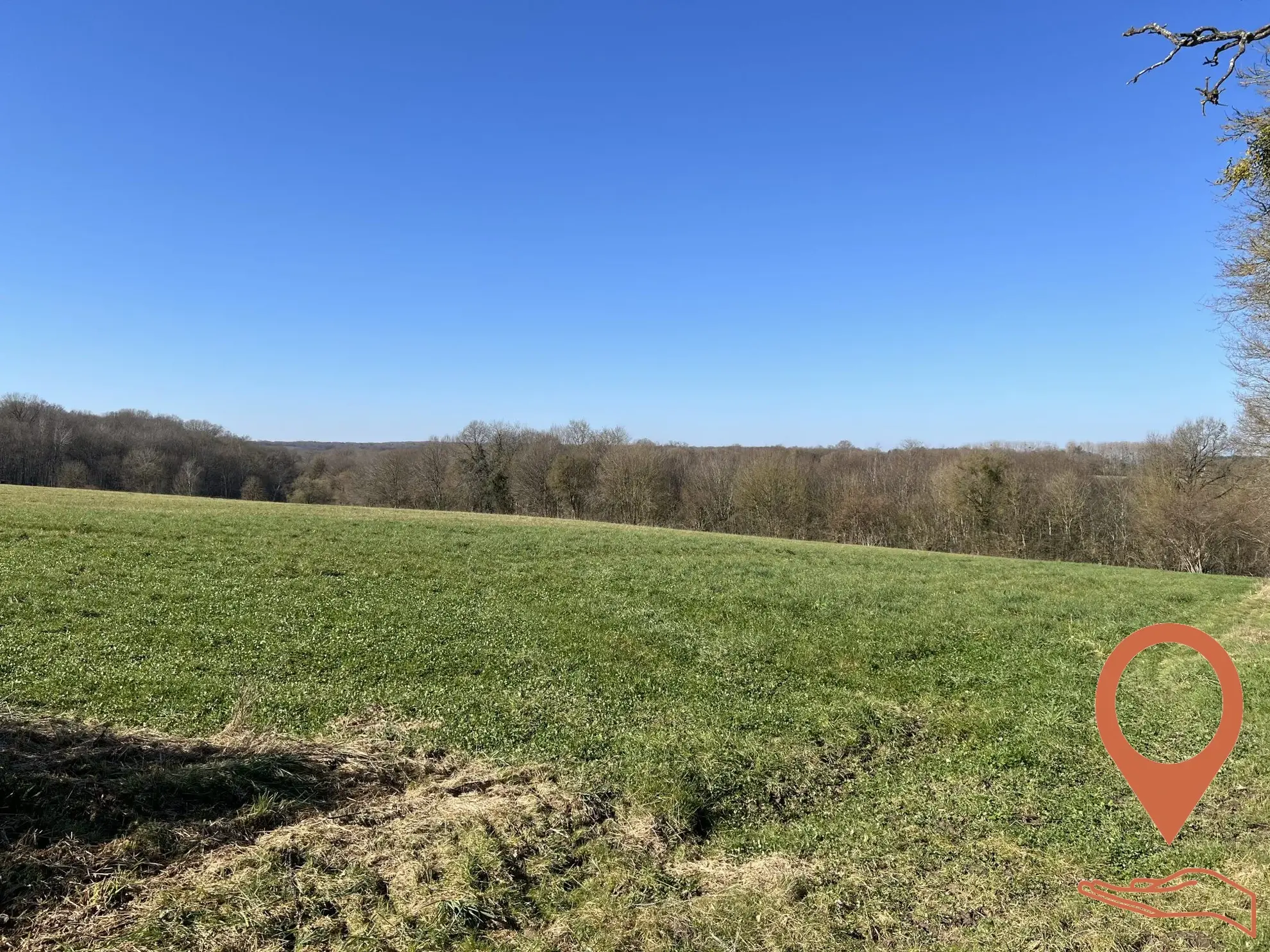 Terrain agricole boisé à vendre à Cernoy-en-Berry – 51 643 m² 