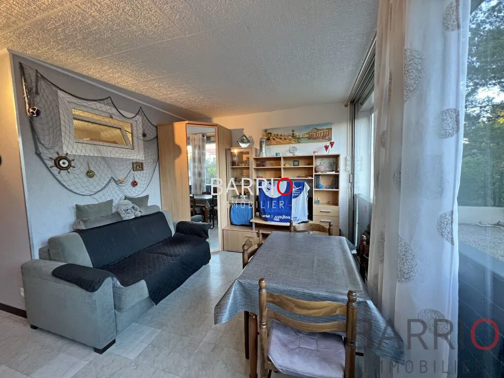 Bel appartement T2 de 28 m² avec parking à Argelès-sur-Mer 