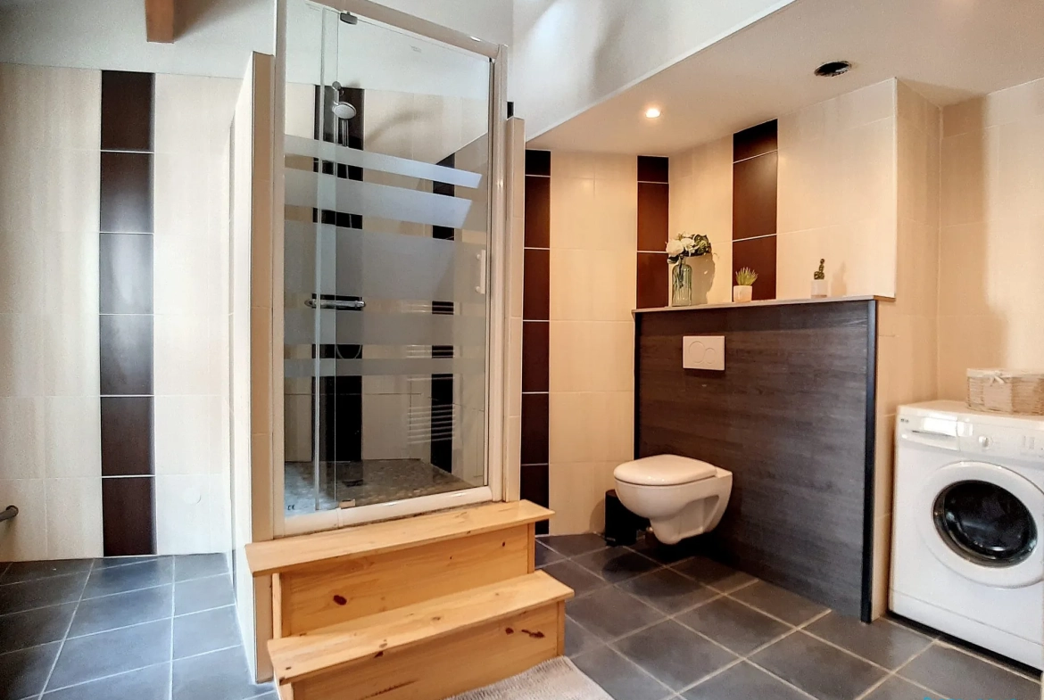 Appartement loft T2 de 79 m² en hyper-centre de Vienne 