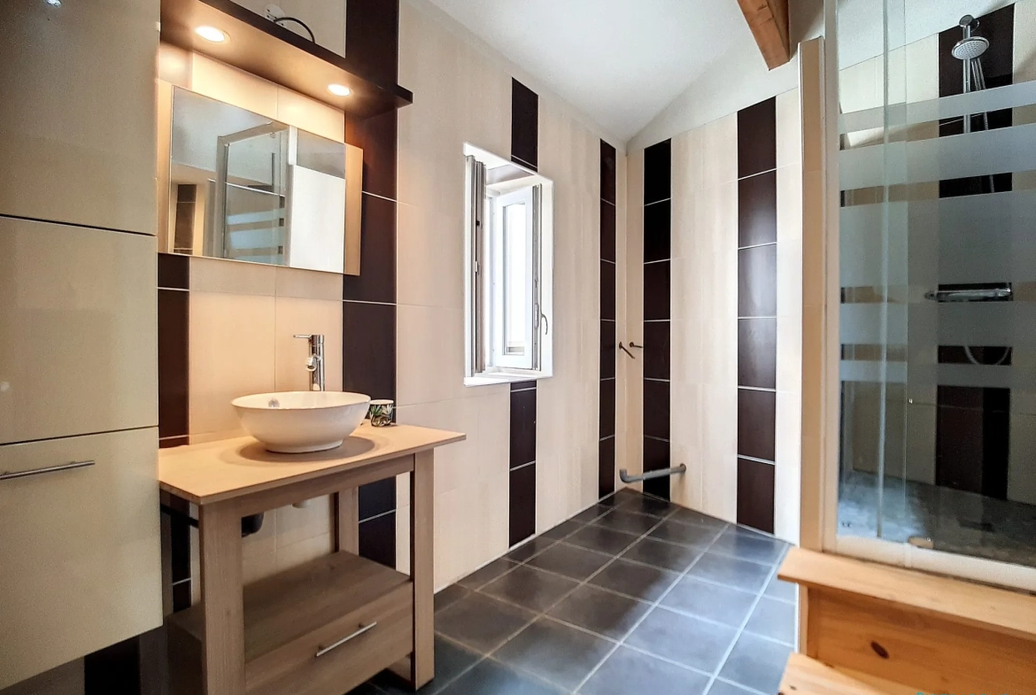 Appartement loft T2 de 79 m² en hyper-centre de Vienne 