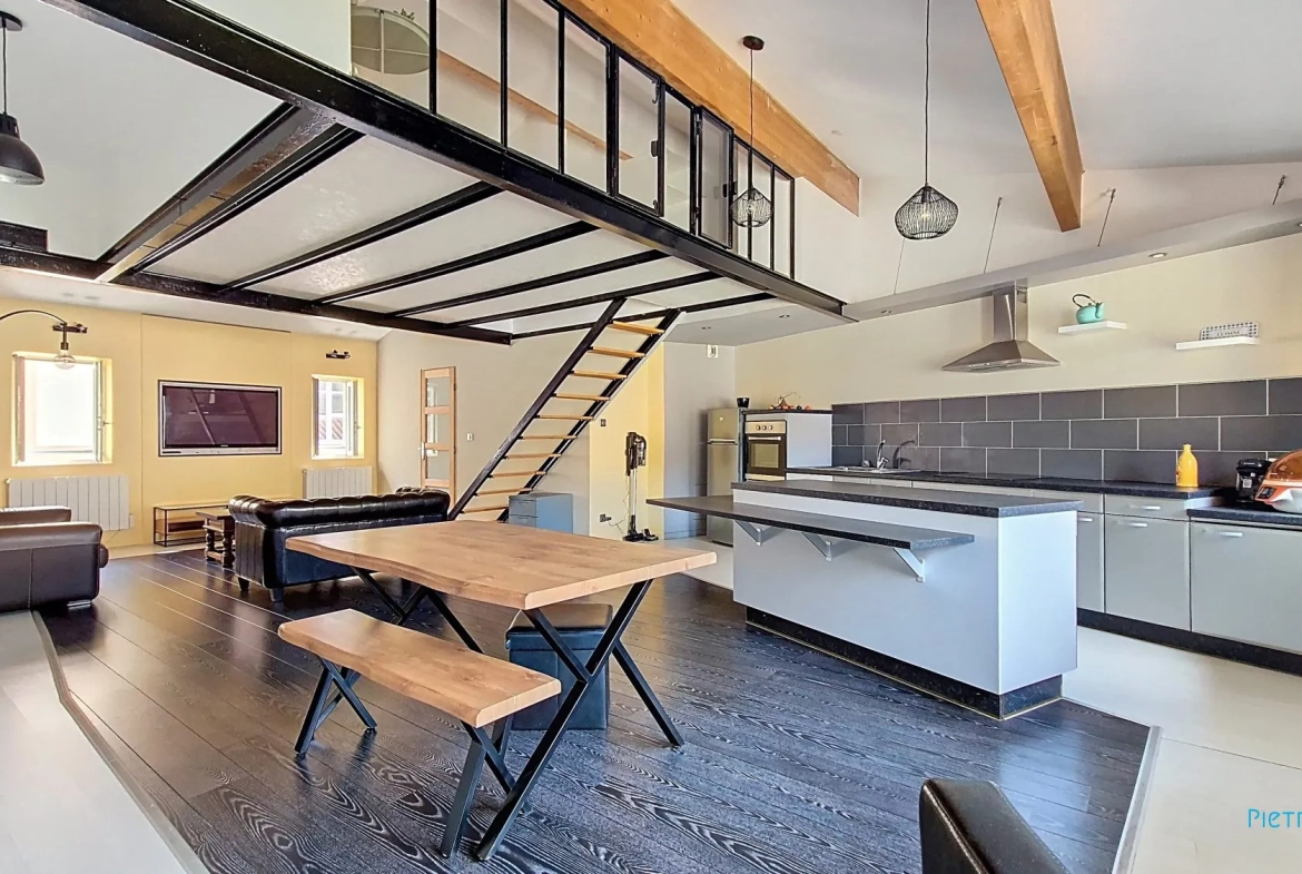 Appartement loft T2 de 79 m² en hyper-centre de Vienne 