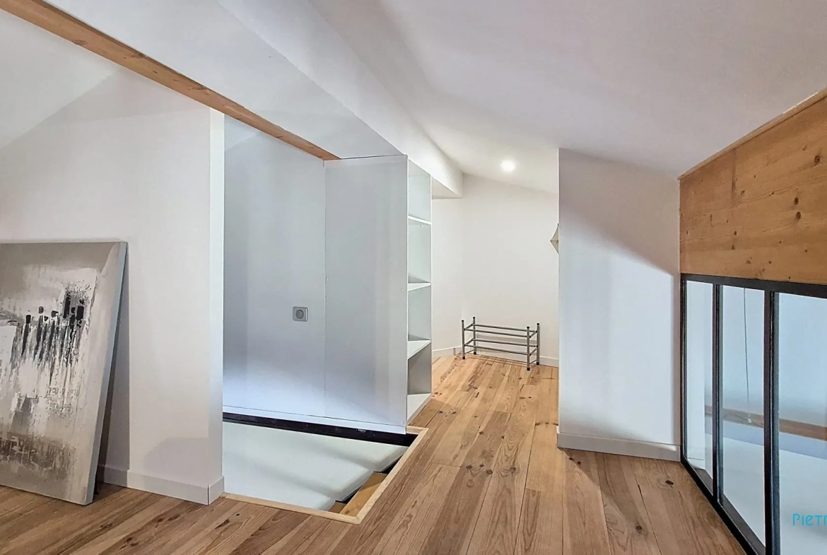 Appartement loft T2 de 79 m² en hyper-centre de Vienne 