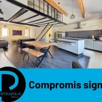 Appartement loft T2 de 79 m² en hyper-centre de Vienne