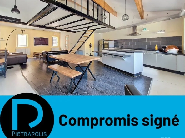 Appartement loft T2 de 79 m² en hyper-centre de Vienne