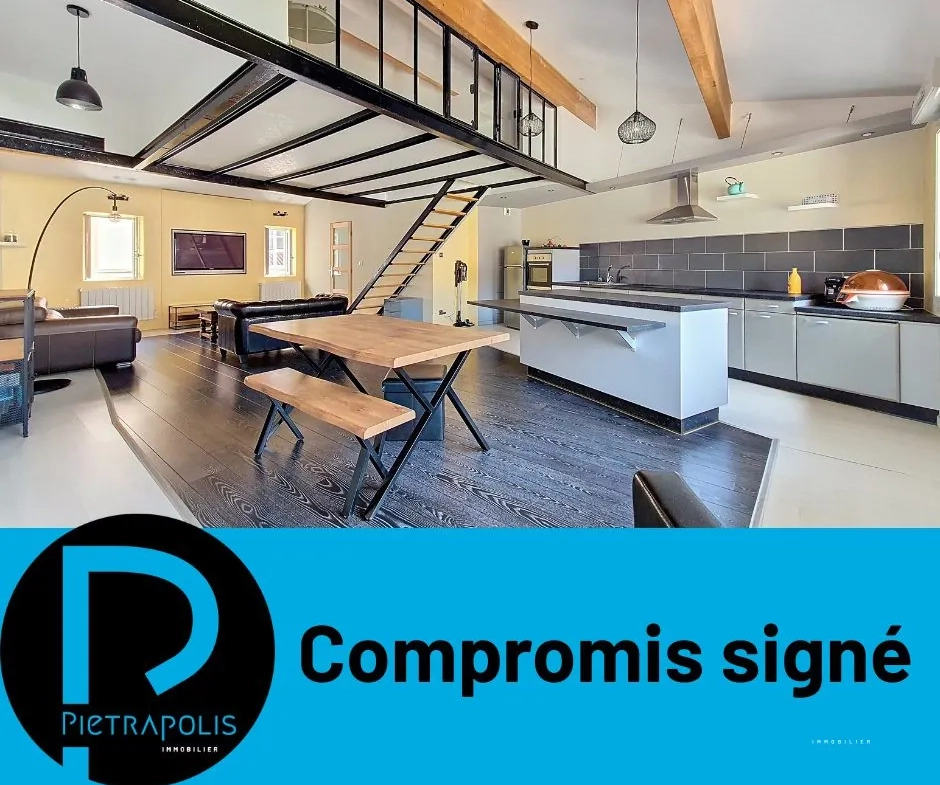 Appartement loft T2 de 79 m² en hyper-centre de Vienne 
