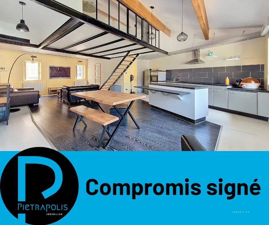 Appartement loft T2 de 79 m² en hyper-centre de Vienne 
